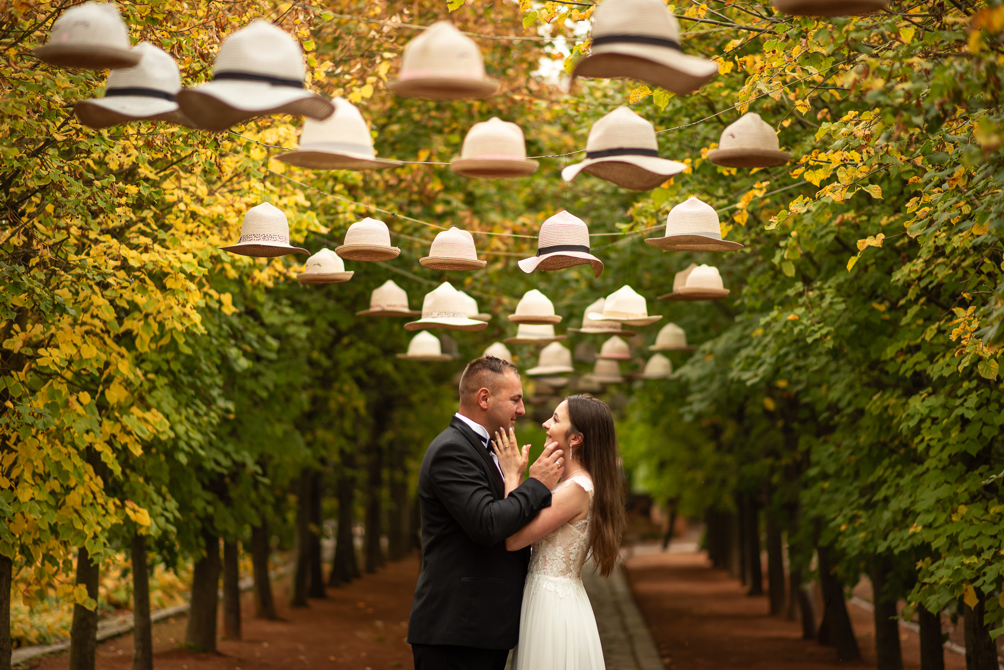 sesja slubna ogrody kapias1